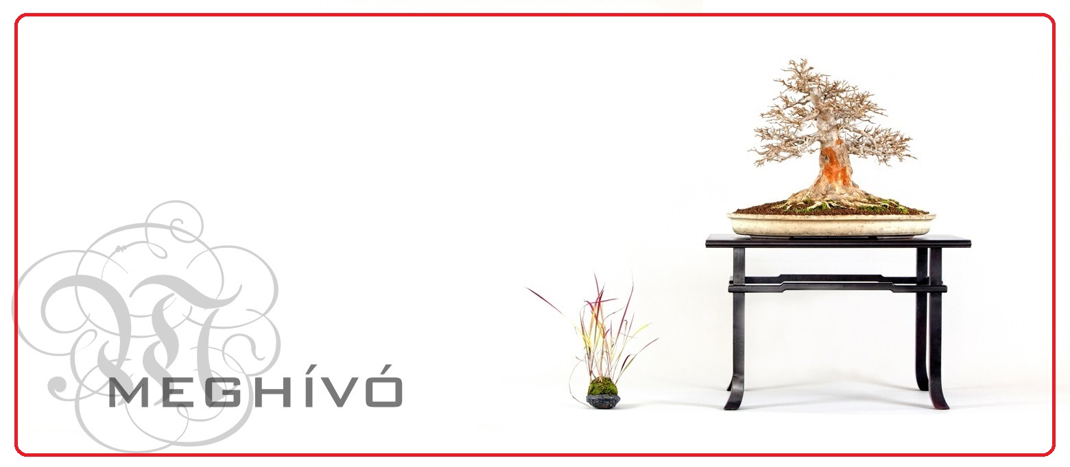 2 bonsai es suiseki mustra bonsaj es suiseki kiallitas meghivo